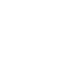 Lyford Stud brand logo